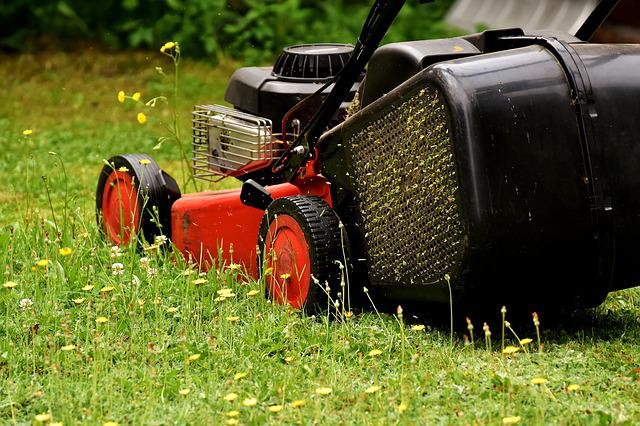 le meilleur outil pour la dernière tonte de la pelouse est la tondeuse électrique