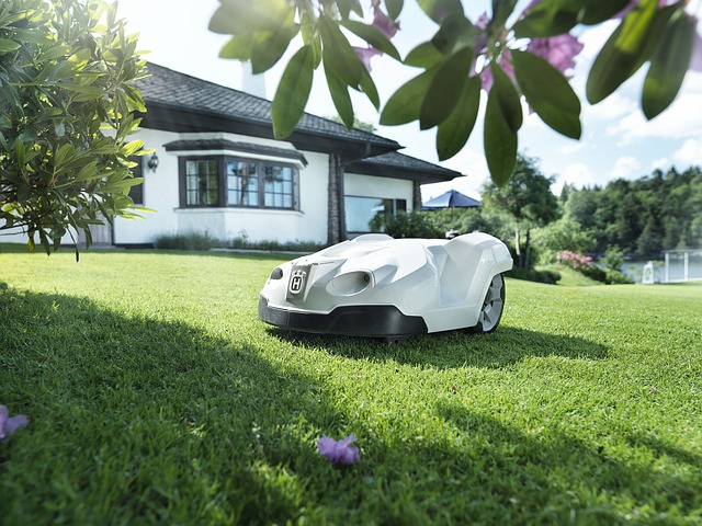 utilisation robot tondeuse pour dernière coupe de la pelouse de l'année