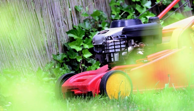 meilleur moment pour la dernière tonte du jardin