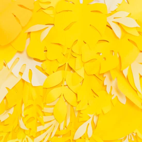 jaune-moutarde-decoration-peinture